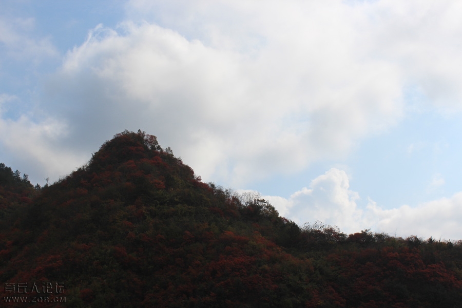 照片 007.jpg