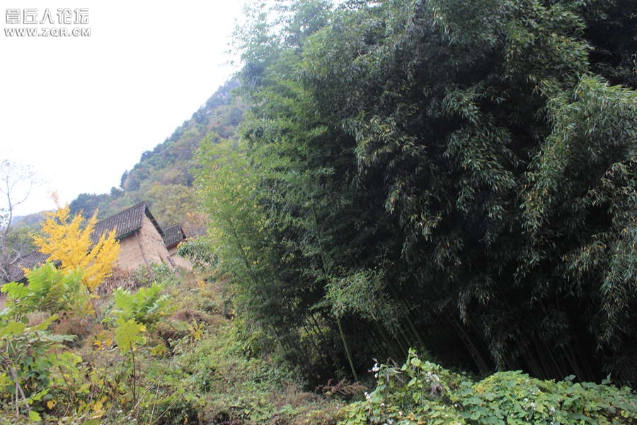 照片 118.jpg