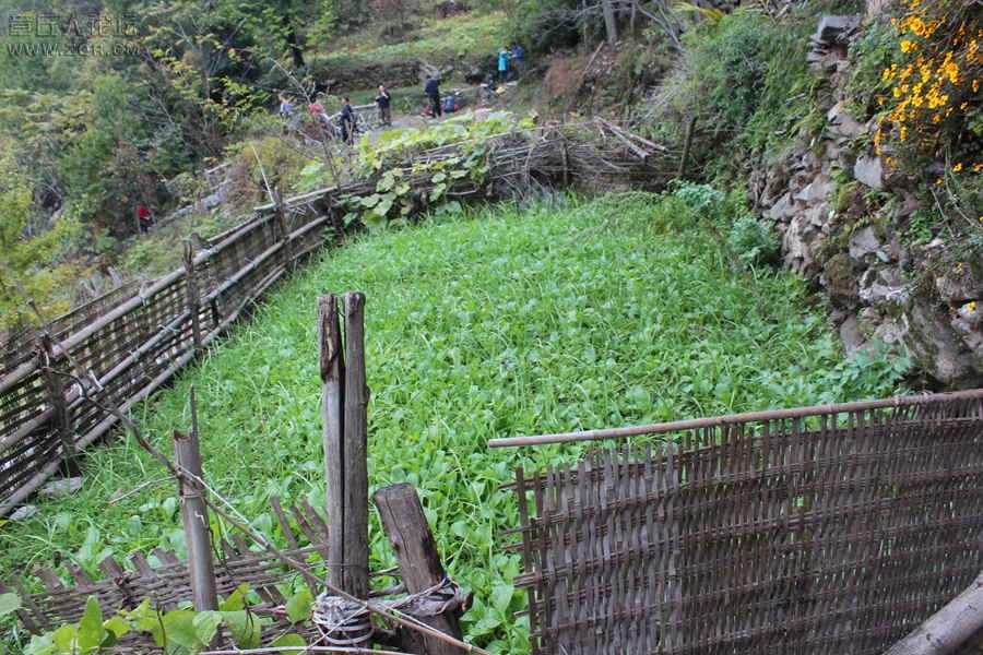 照片 147.jpg