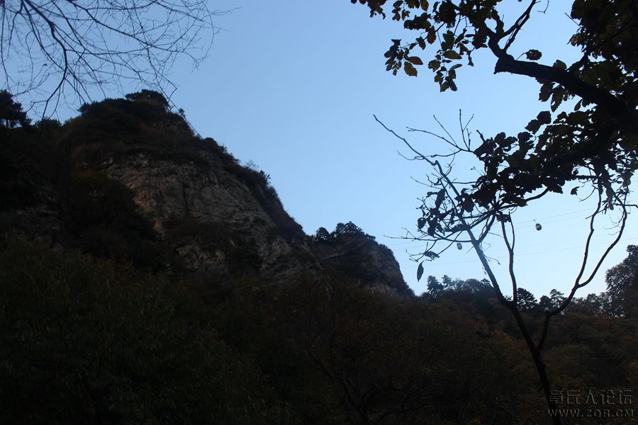 照片 235.jpg