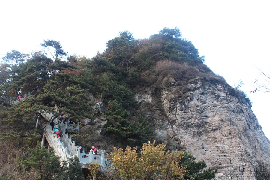 照片 243.jpg