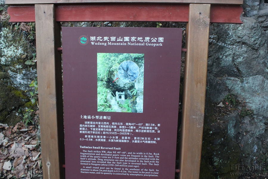 照片 252.jpg