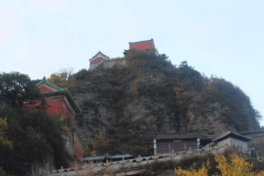 照片 257.jpg