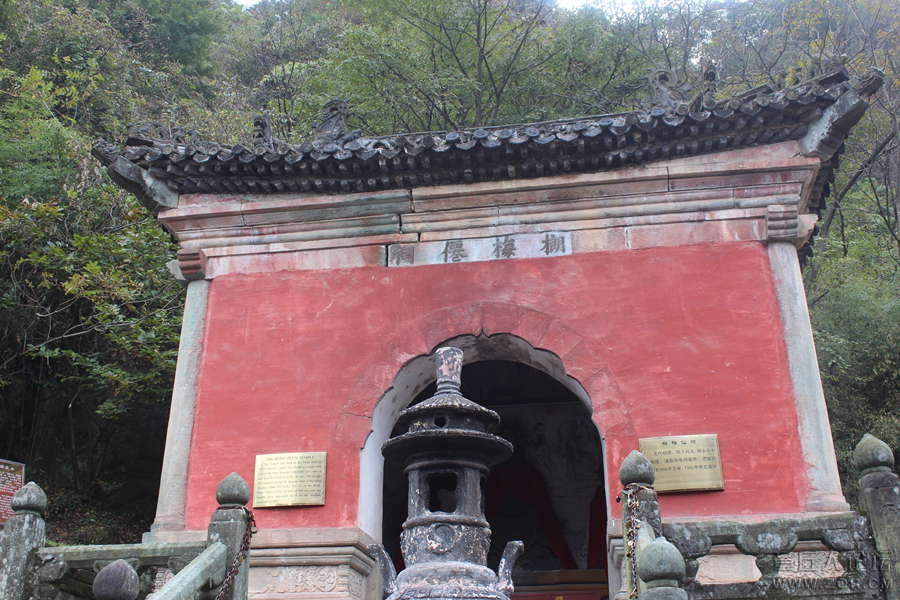 照片 302.jpg