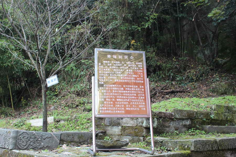 照片 303.jpg