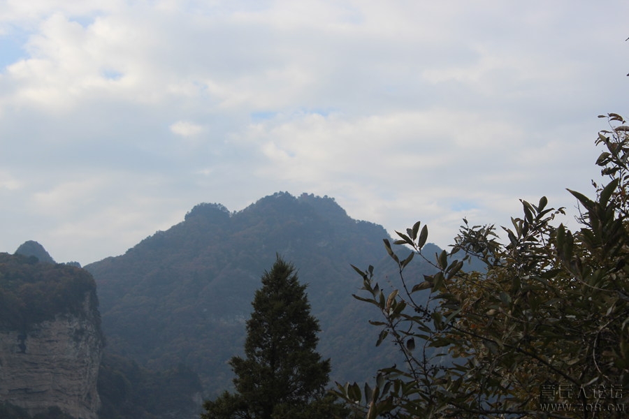 照片 331.jpg