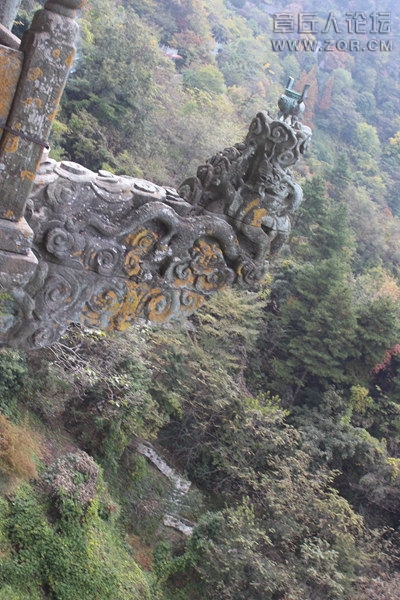 照片 396.jpg
