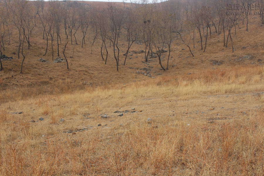 第一次暴走,埋锅造饭地方