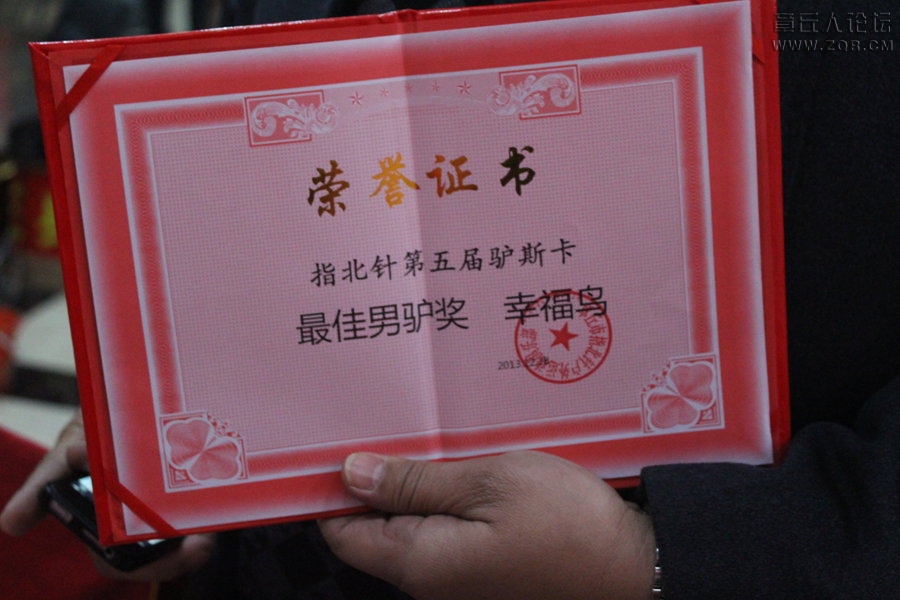 照片 300.jpg