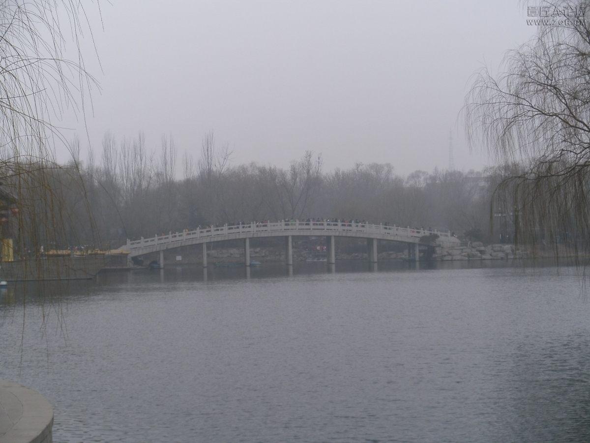 PICT0193.jpg