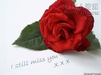 113052wgrsfntztt5uslt5.jpg