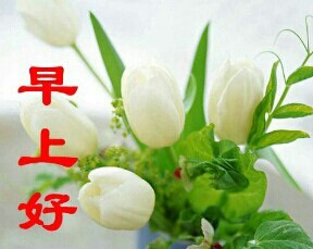 QQ图片20140207075454.jpg
