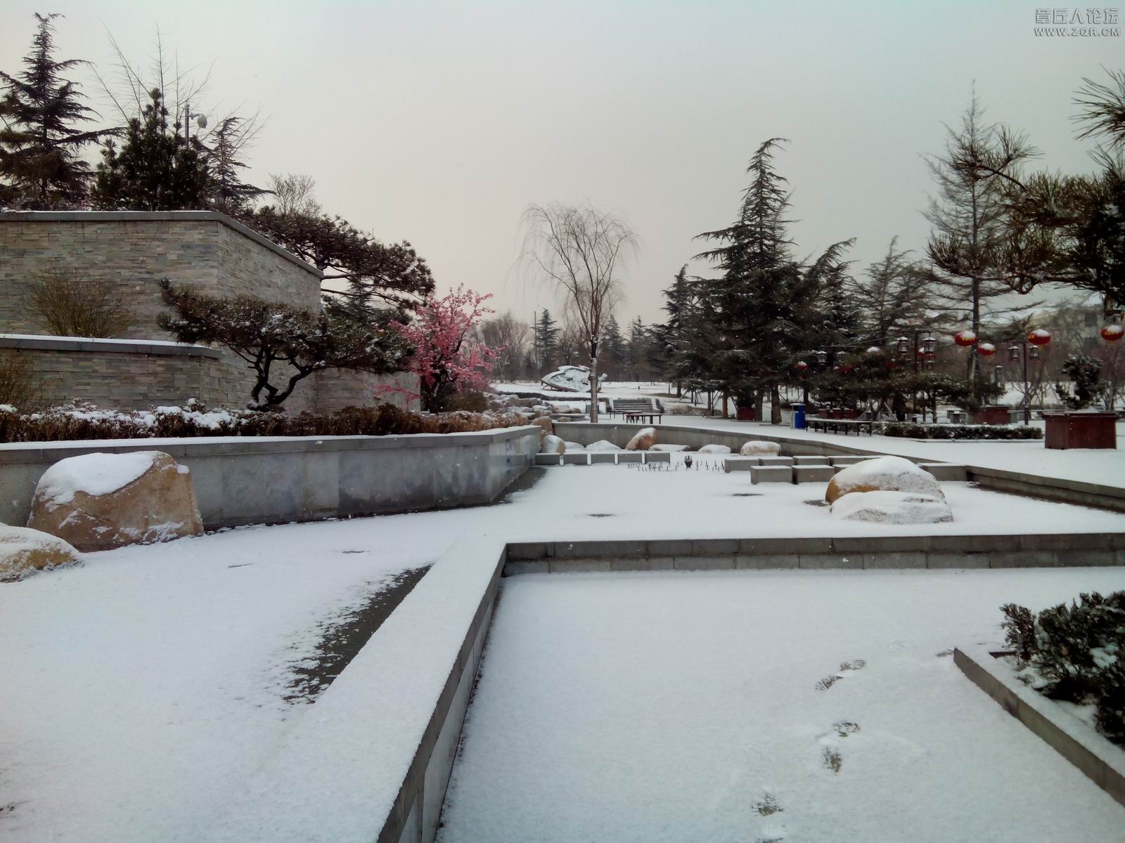 IMG_20140209_084321.jpg