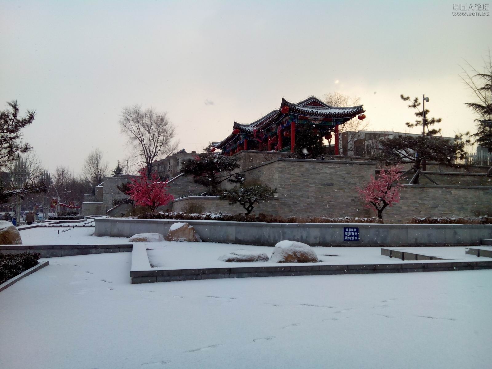 IMG_20140209_084445.jpg
