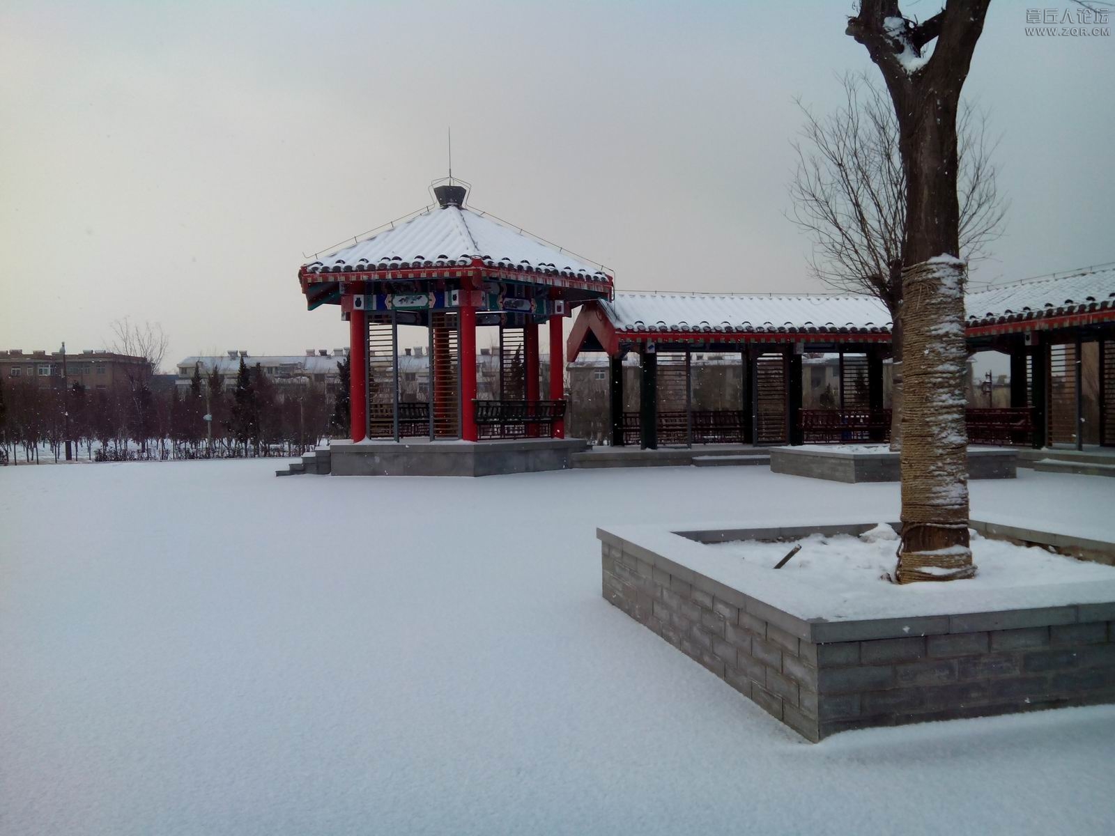 IMG_20140209_085858.jpg