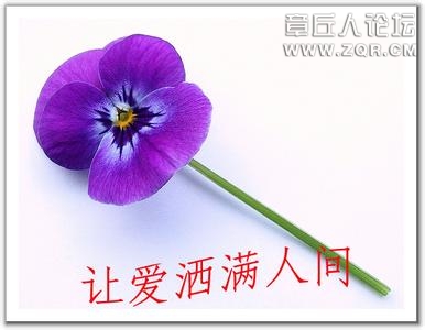 100342t3h3abh7r7shcfvh.jpg