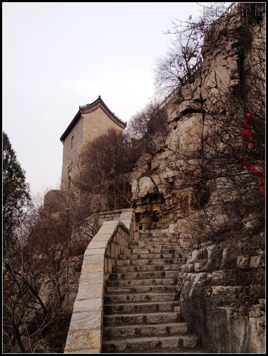照片 392.jpg
