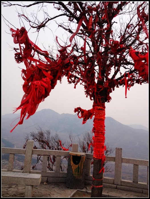 照片 427.jpg