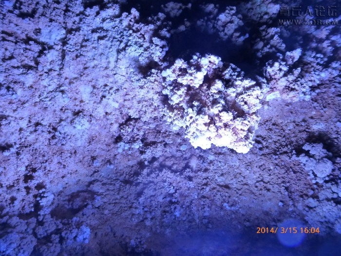 224008vbnrunmjq5jrgqqf.jpg