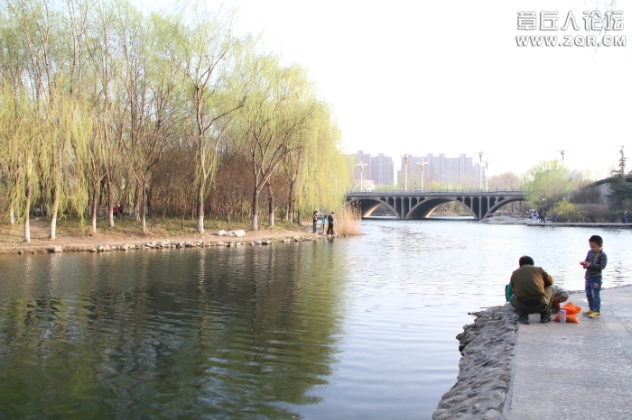081024d9yz62159b2yhicn.jpg