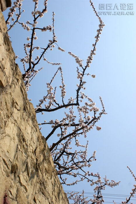 DSC00213.JPG