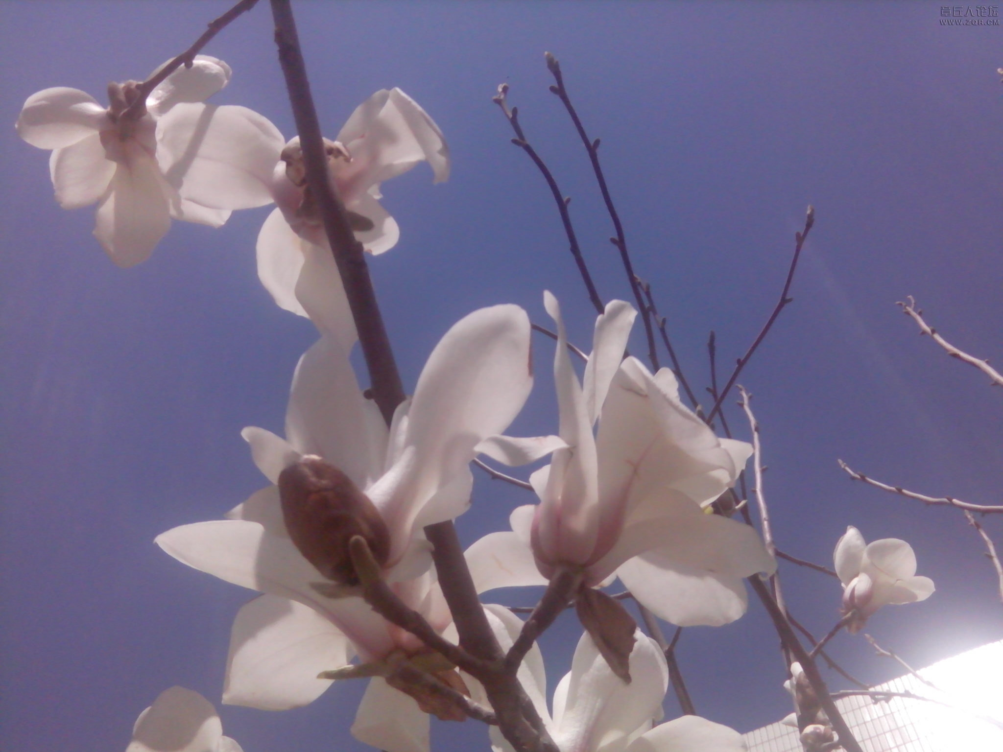 IMG_20140320_122411.jpg