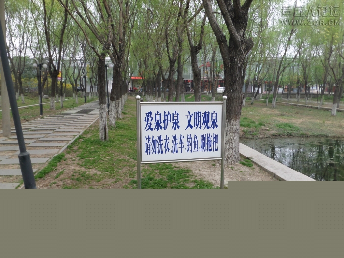 102244oyxkzk0ll8elrlf8.jpg