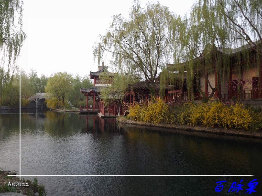 DSCF7571.JPG