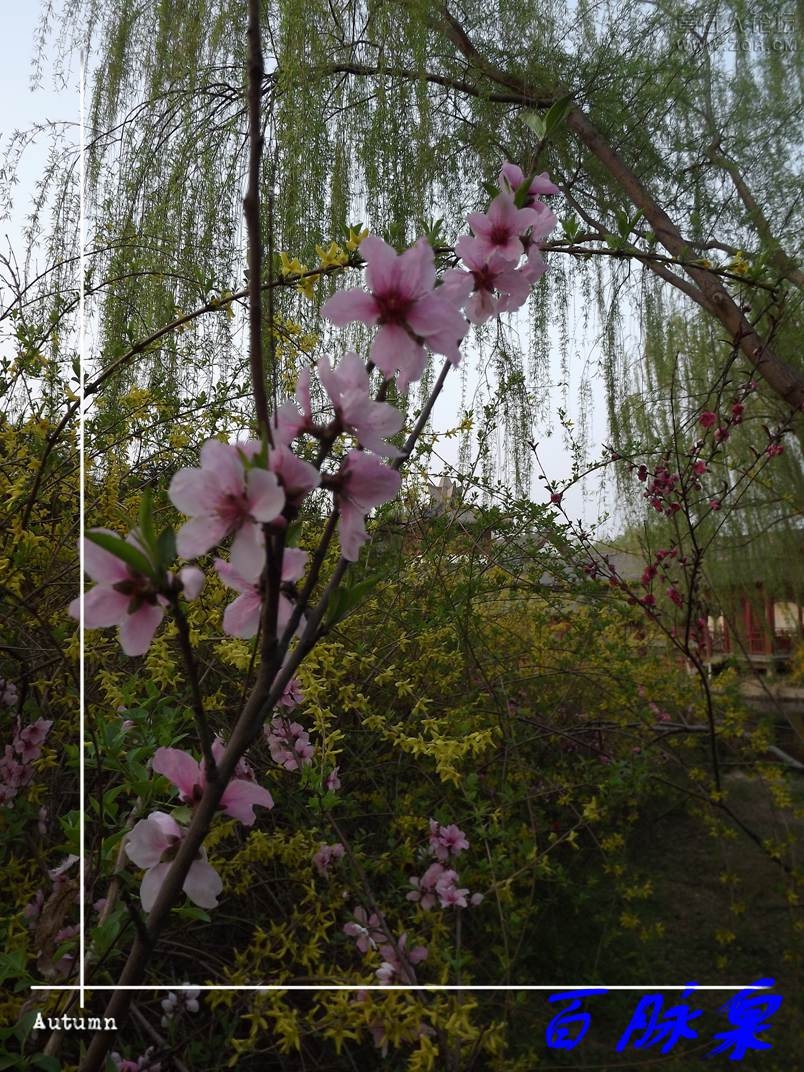 DSCF7572.JPG