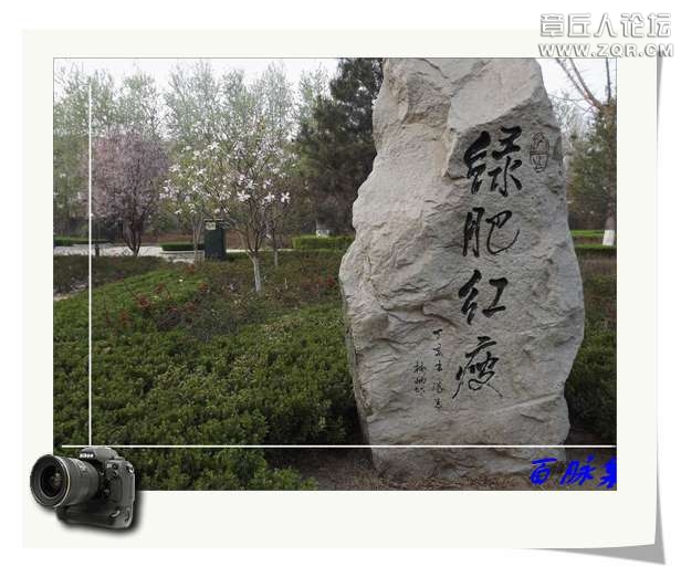DSCF7578.JPG