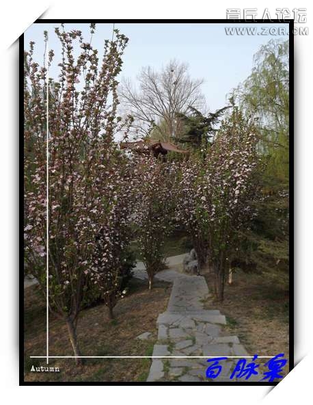 DSCF7594.JPG