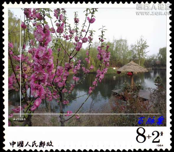 DSCF7595.JPG