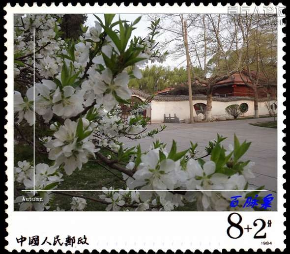 DSCF7597.JPG