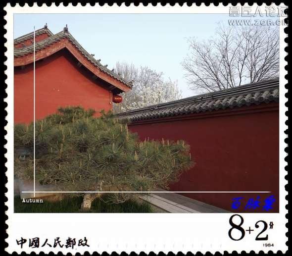 DSCF7600.JPG