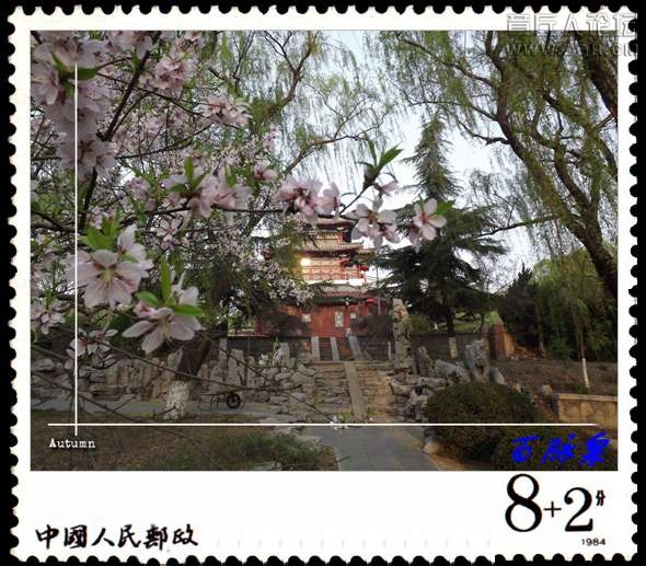DSCF7607.JPG