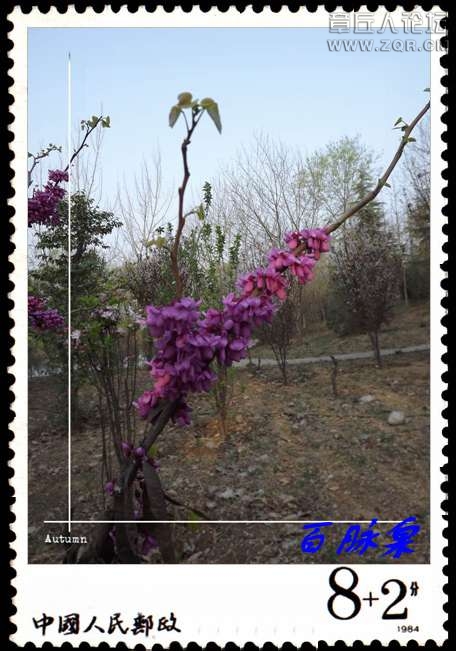 DSCF7608.JPG