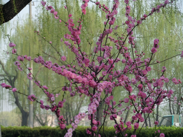 100243qmpzizum1iuhbhb8.jpg