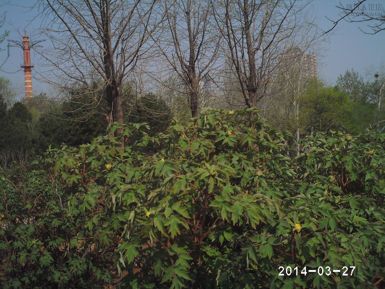 PHTO0072.JPG