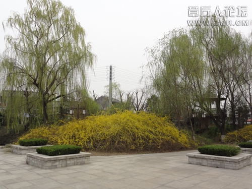 DSC01666.jpg