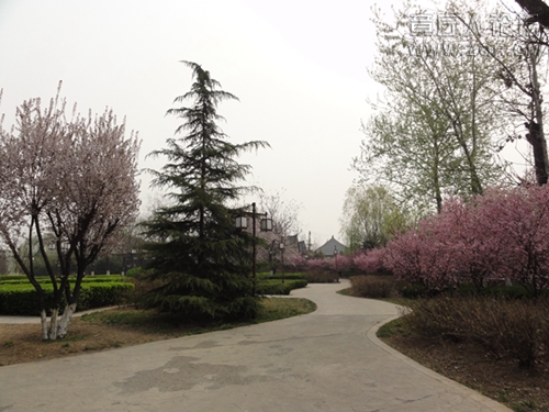 DSC02102.jpg