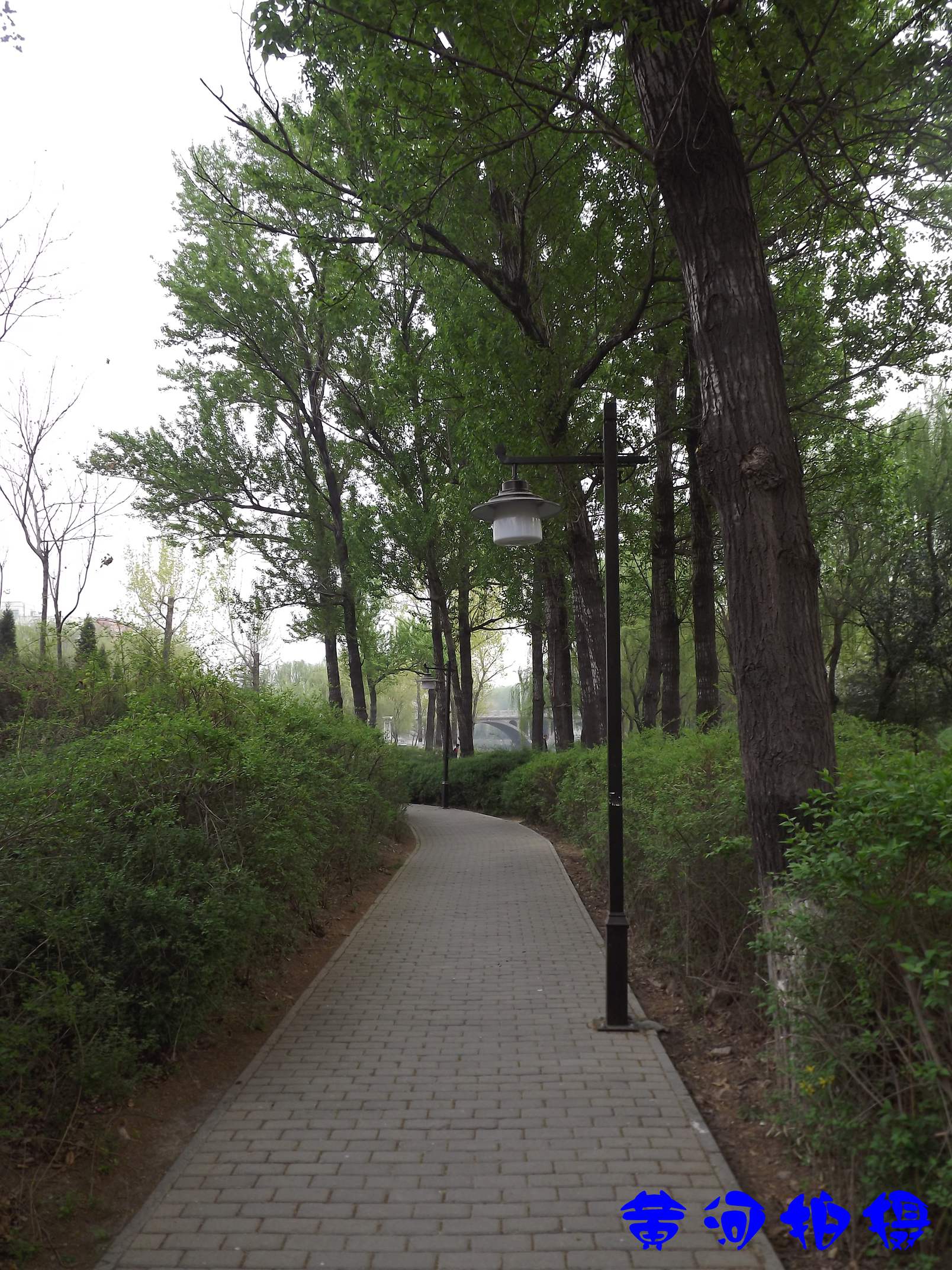 DSCF7819.JPG
