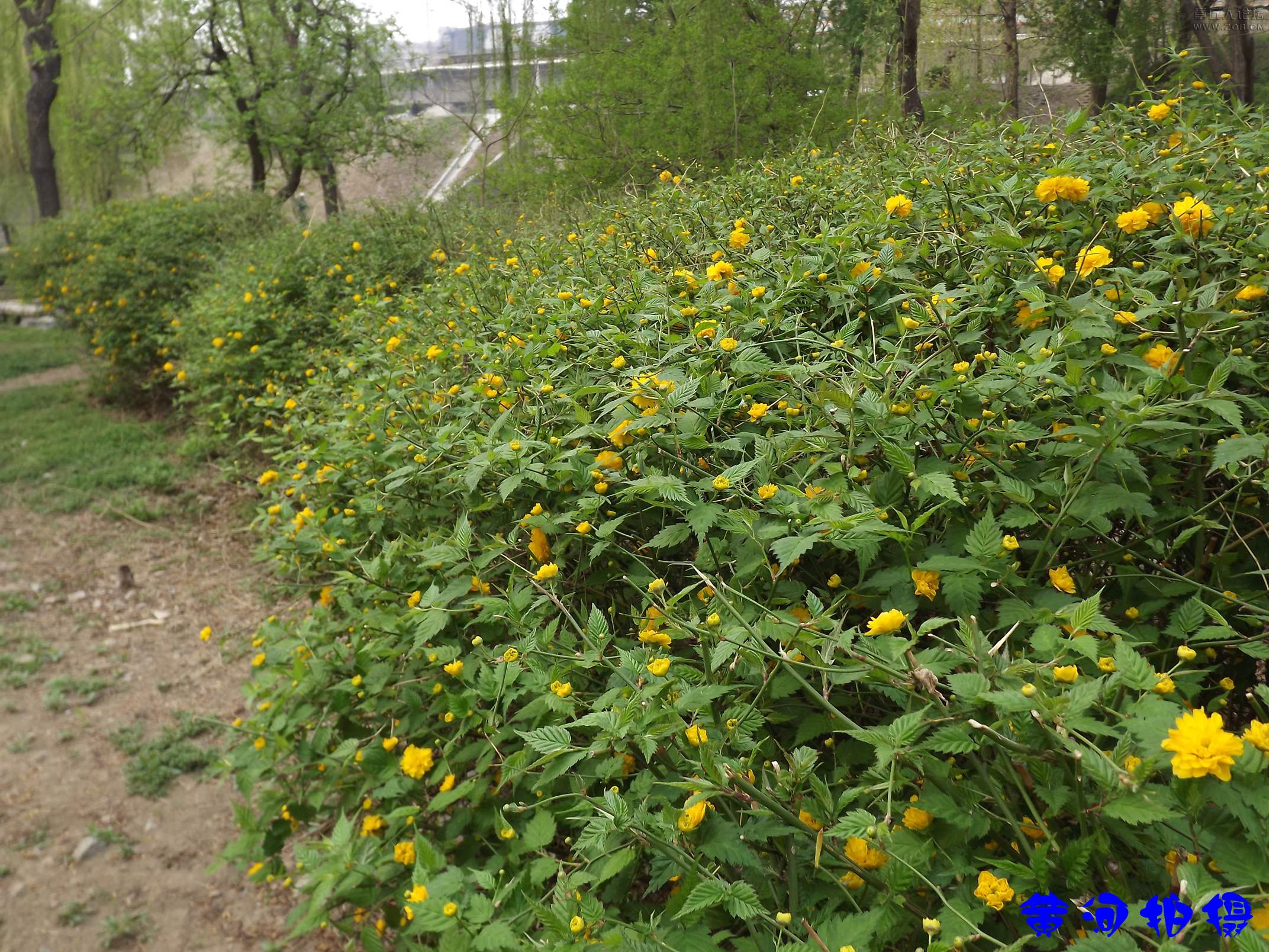 DSCF7821.JPG