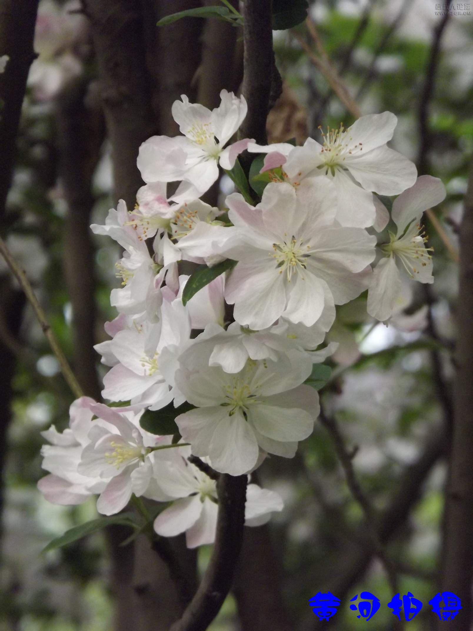 DSCF7830.JPG