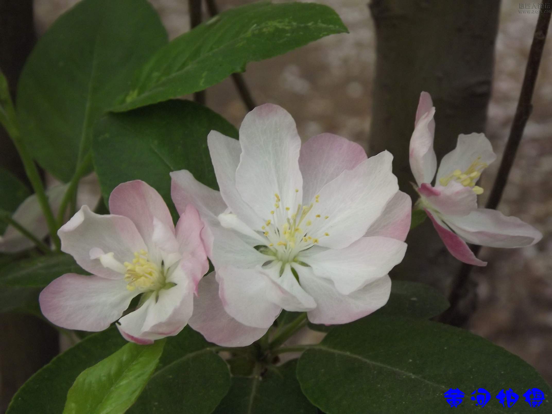 DSCF7829.JPG
