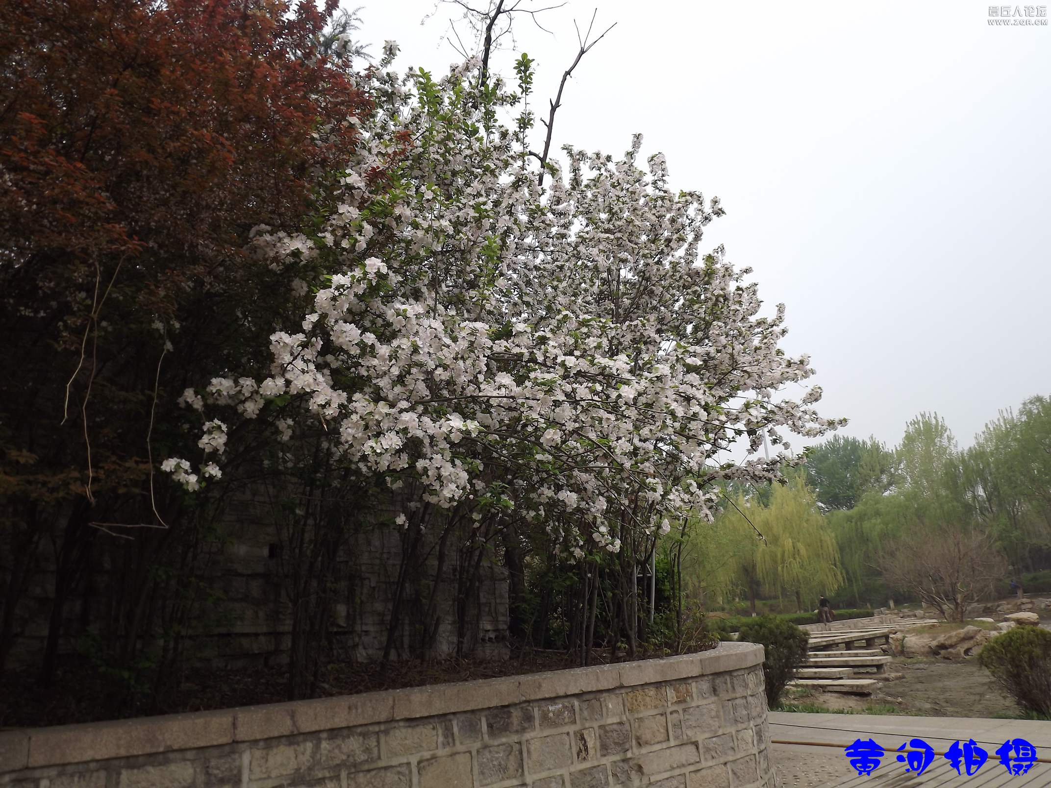 DSCF7831.JPG