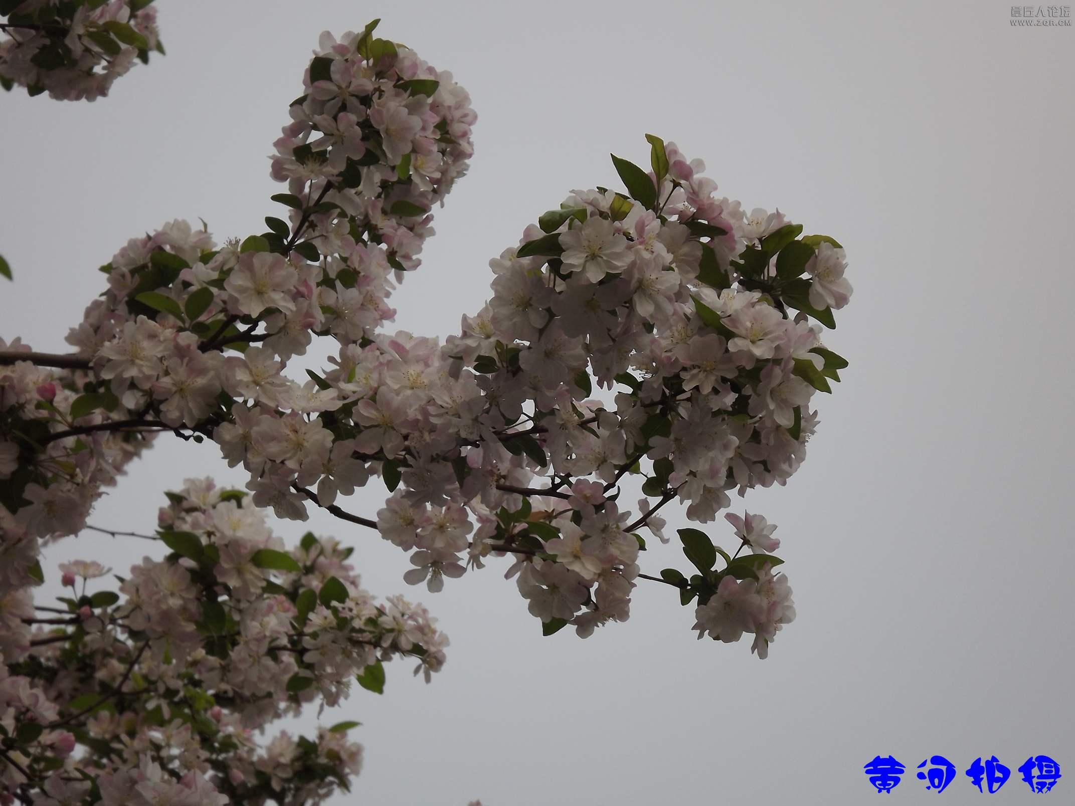 DSCF7832.JPG