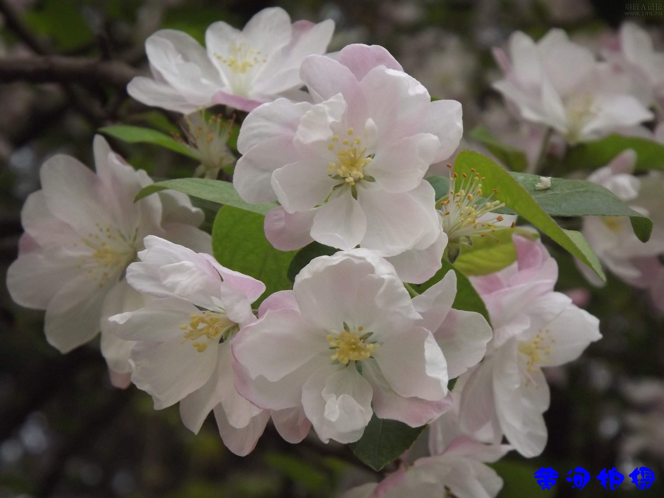 DSCF7833.JPG