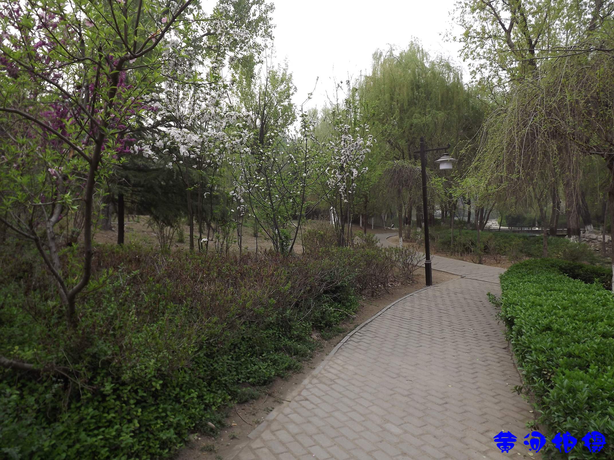 DSCF7836.JPG