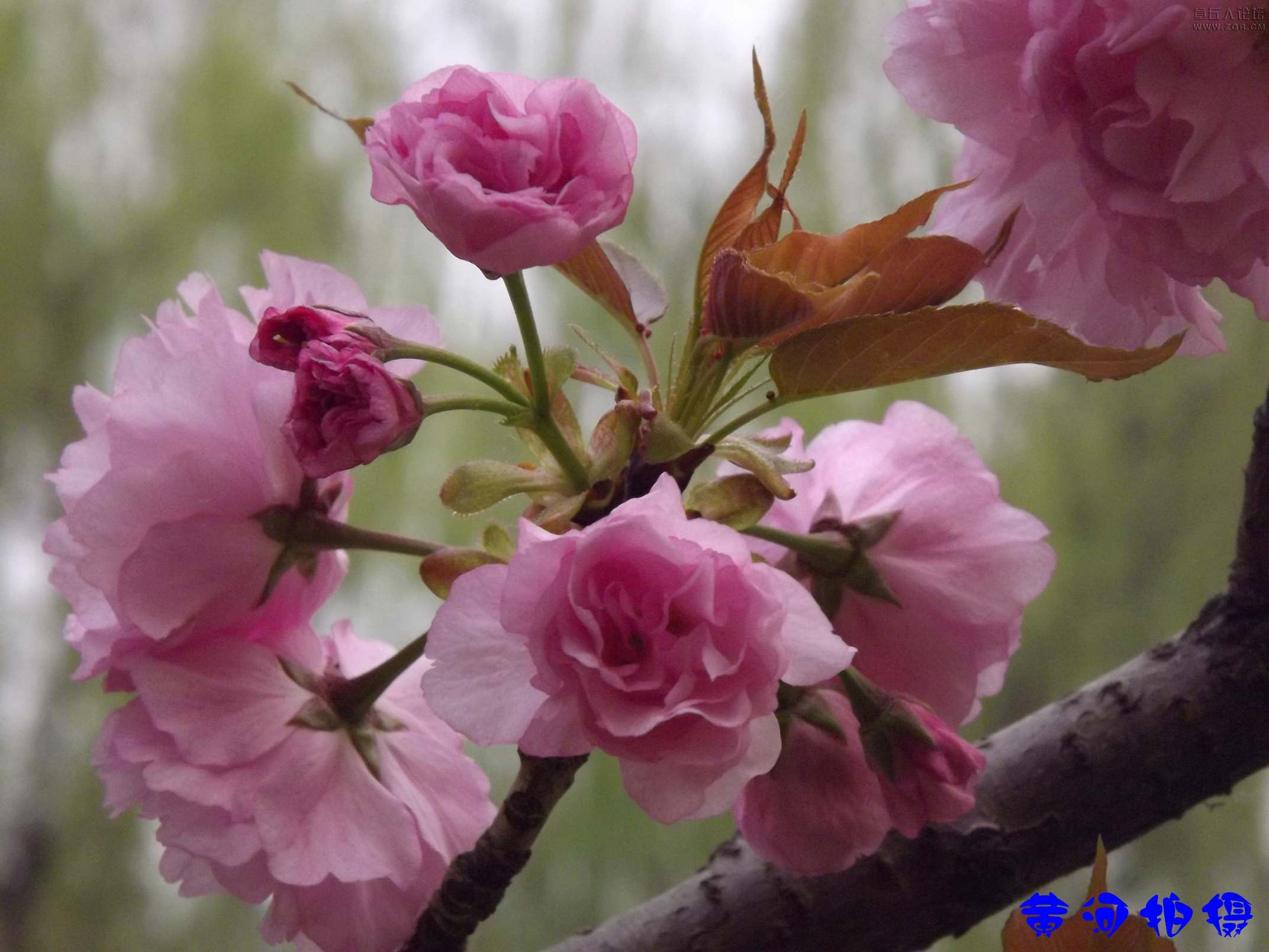 DSCF7839.JPG
