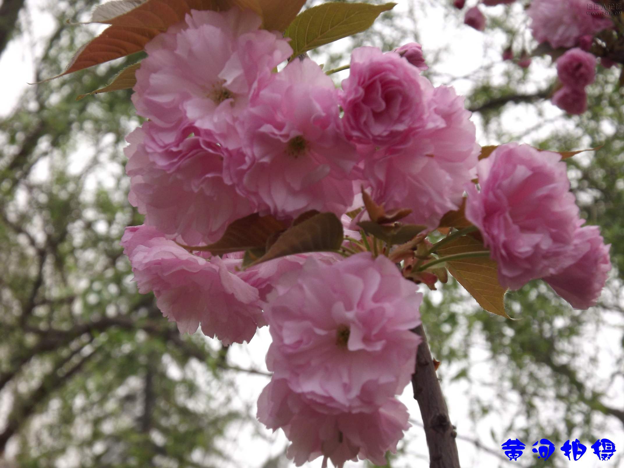 DSCF7840.JPG
